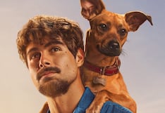 “Caramelo”: descubre la historia del perro vira-lata que es símbolo de Brasil