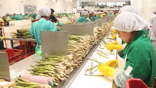 Exportaciones peruanas crecen en volumen y el empleo que genera también: así avanza en 2026