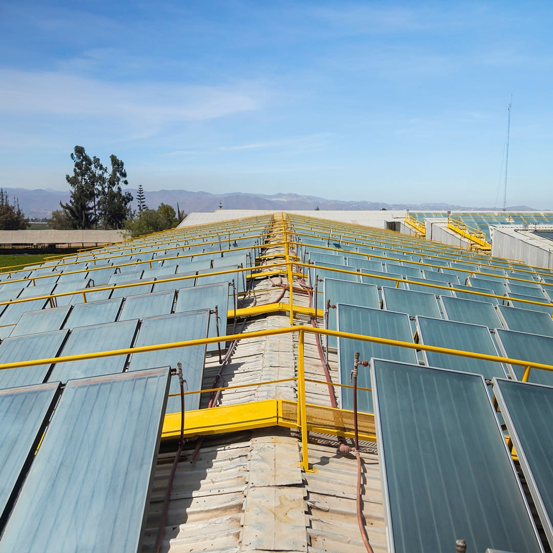 Inca Tops analiza alternativas como paneles solares ante el encarecimiento de fletes y combustibles. (Foto: Inca Tops)