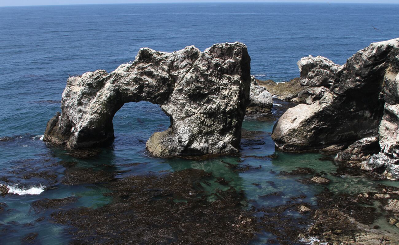 La Reserva Nacional San Fernando se encuentra en la ciudad de San Juan de Marcona, provincia de Nazca, Ica. (Foto: Shutterstock)