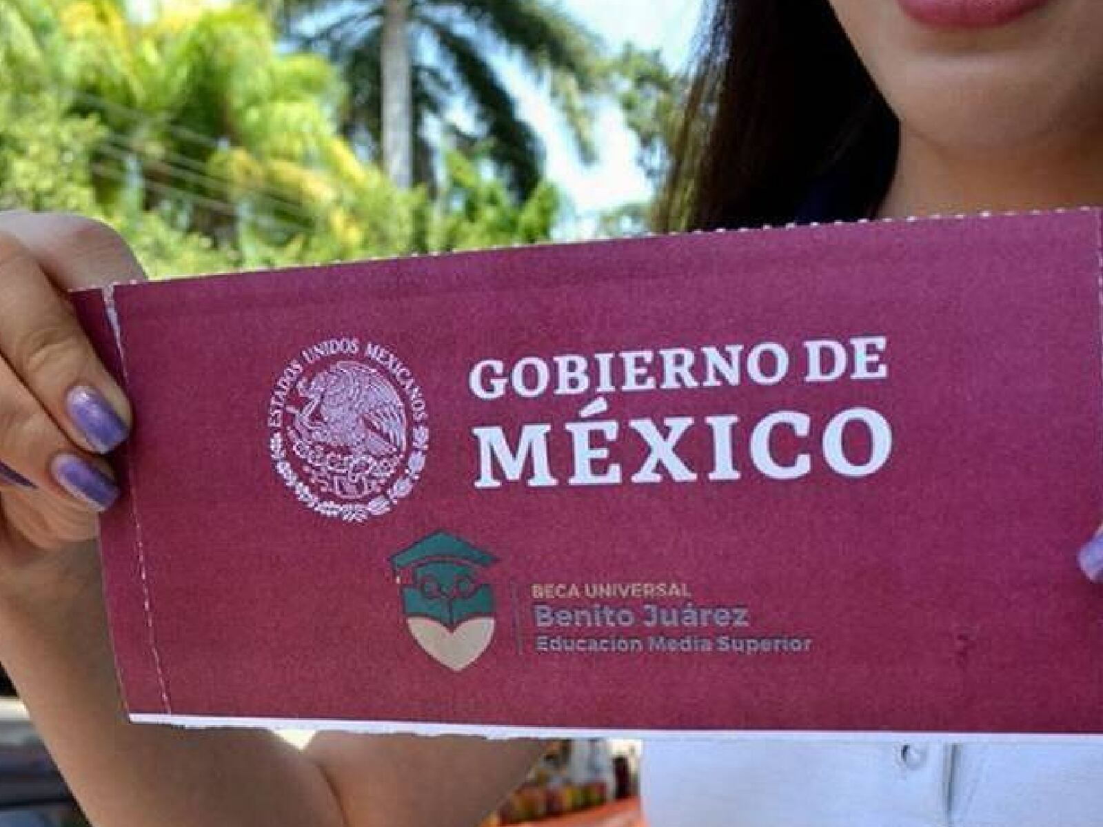 Revisa aquí si tu escuela se encuentra en la lista de la Beca Benito Juárez y descubre cómo inscribirte. (Foto: Cuartoscuro)