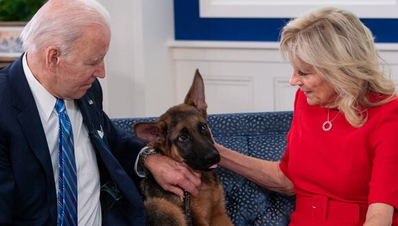 'Commander' llegó a la Casa Blanca en diciembre de 2021 y desde ahí se ha ganado 'mala fama' por morder al personal que trabaja para el presidente Joe Biden. (Foto: AFP)