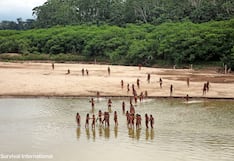 Advierten que Perú promueve explotación de petróleo en zonas intangibles de la Amazonía