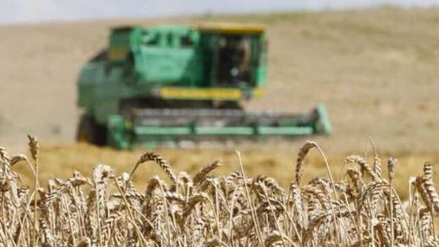Rusia: Clima seco eleva preocupación sobre cosecha de granos