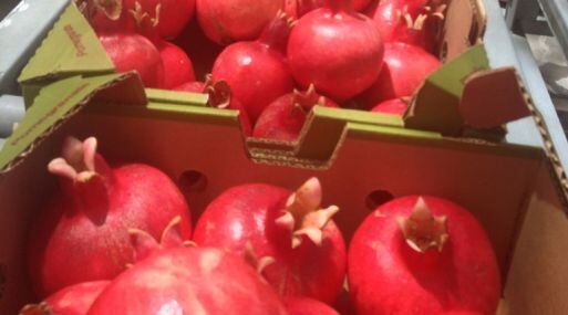 La granada es uno de los productos que Agrícola Pampa Baja exporta a Estados Unidos y Europa.