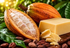 Ecoandino ingresa al mercado de insumos cosméticos y acelera su expansión en Asia