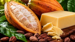 Ecoandino ingresa al mercado de insumos cosméticos y acelera su expansión en Asia