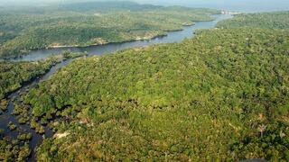 La Amazonía perderá unas 860,000 hectáreas en el 2021, según una proyección