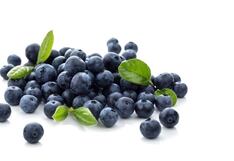 Agroindustrial Beta: Tras la falta de uva y arándanos, ¿en qué cultivo se refugia?