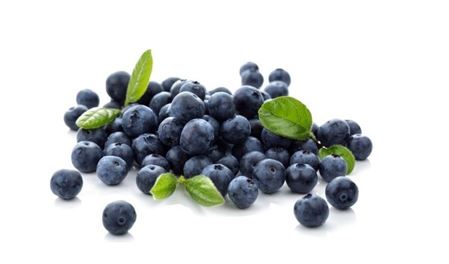 Complejo Agroindustrial Beta tiene 1,500 hectáreas destinadas al cultivo de arándanos.