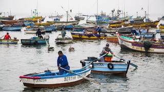 Sanipes y Dicapi realizarán vigilancia de recursos marítimos: ¿de qué trata?