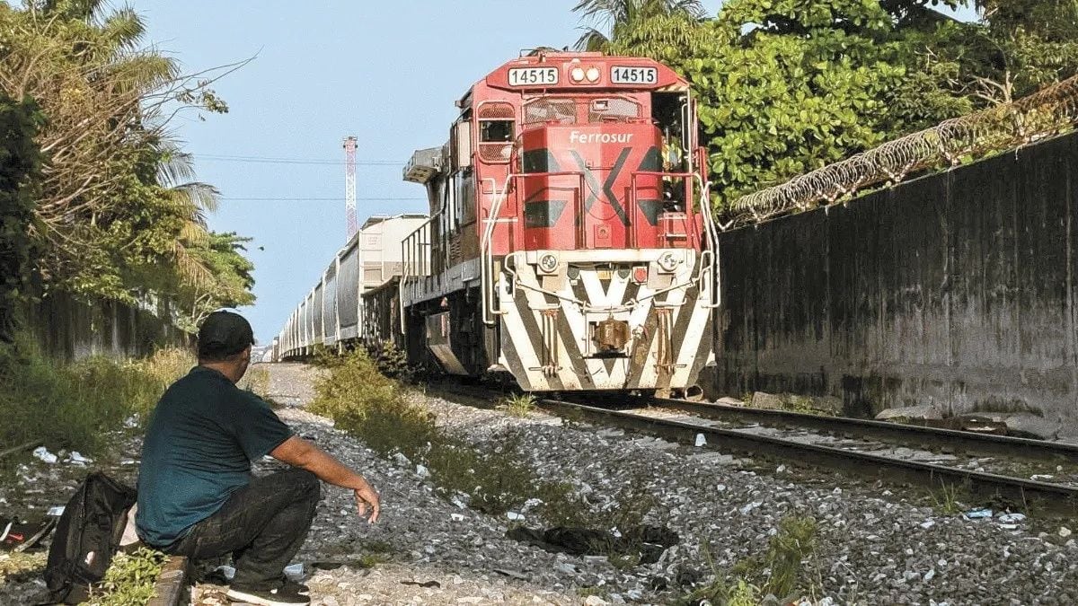 Según Grupo México Transportes, del multimillonario Germán Larrea, la suspensión se tomó por el “severo riesgo” para la integridad de los migrantes que los utilizan y después de registrarse, en días recientes, cerca de media docena de casos de lesiones o fallecimientos entre esos grupos. (Foto EFE: Archivo)