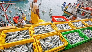 Exportaciones pesqueras crecieron 54.1% a mayo, esto son los productos más demandados