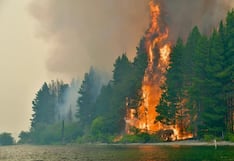 Incendios forestales en la Patagonia argentina: más de 10 provincias en riesgo