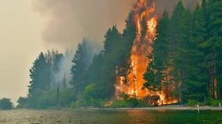Incendios forestales en la Patagonia argentina: más de 10 provincias en riesgo