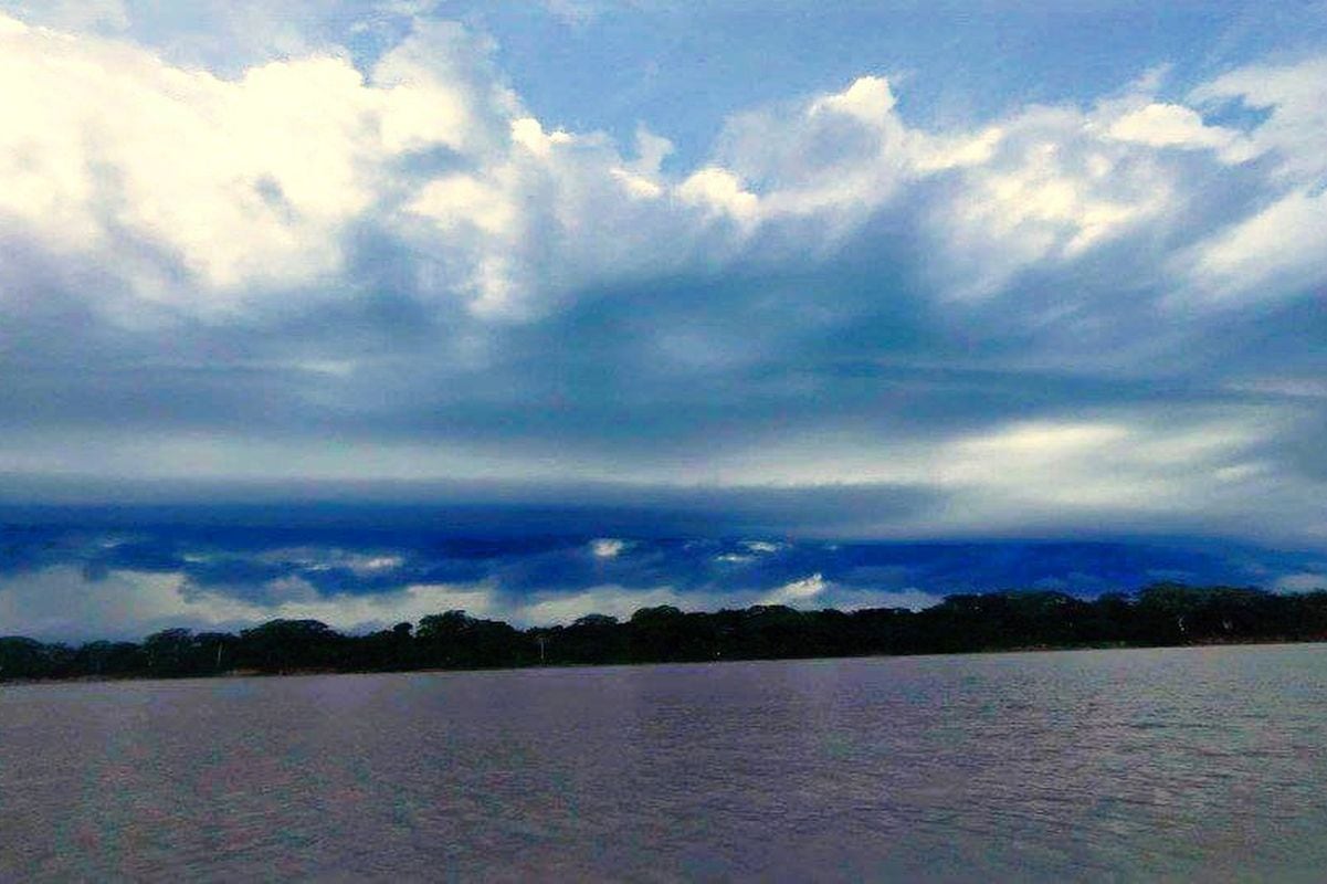 El el séptimo friaje del año generó un descenso de la temperatura diurna de moderada a fuerte intensidad en la selva y estuvo acompañado de ráfagas de viento cercanas a los 50 kilómetros por hora. Foto: Senmahi.