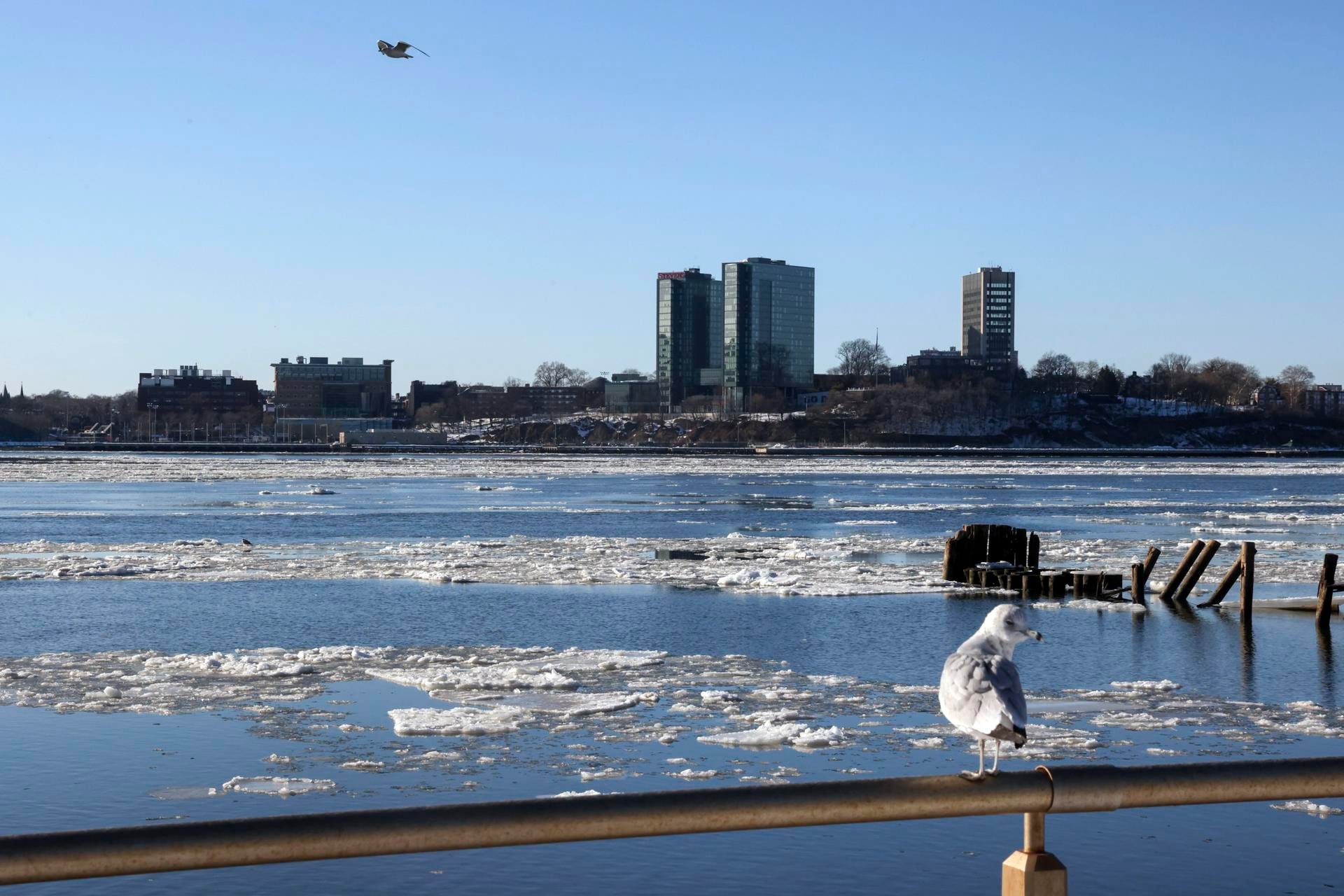 Expertos atribuyen el fenómeno a una potente masa de aire ártico proveniente del norte de Canadá. (Foto: EFE / EPA / SARAH YENESEL)