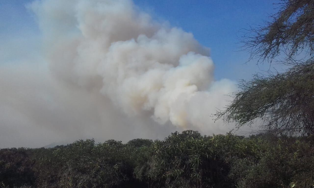 20 incendios forestales ocurrieron este año en áreas naturales protegidas del Perú