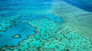 El fenómeno de El Niño amenaza la Gran Barrera de Coral en Australia