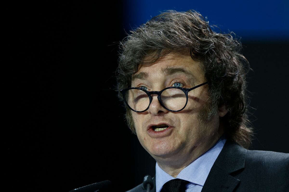 Javier Milei, presidente de Argentina. (Foto de Rodrigo Jiménez / EFE)