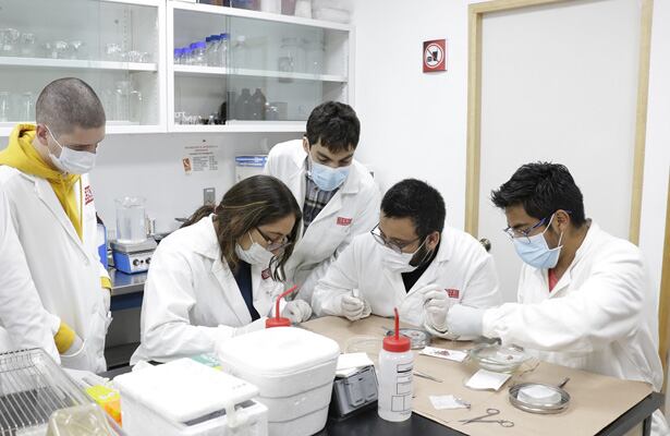 La universidad proyecta un laboratorio de neurociencias, con una inversión estimada de S/500,000 y puesta en funcionamiento prevista para 2028. Foto: Andina