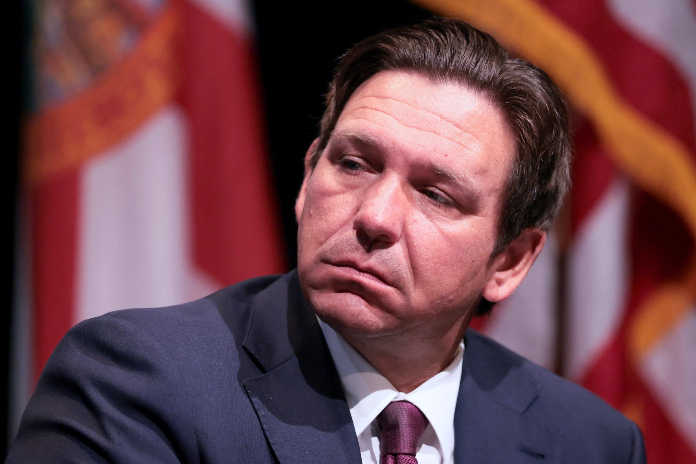 Florida sigue demostrando que está en contra de cualquier abuso contra los animales. Muestra de ello es que Ron DeSantis haya aprobado una nueva ley que endurecerá sanciones para los maltratadores (Foto: AFP)