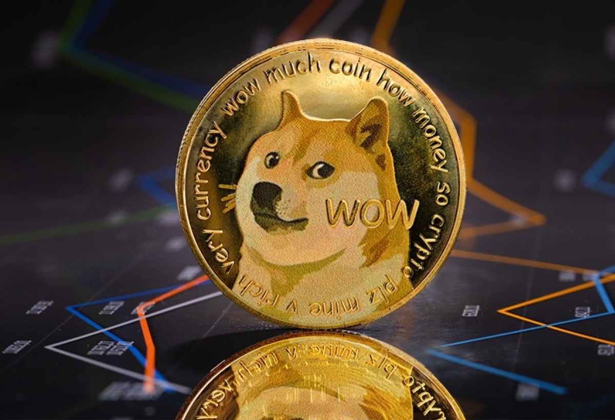 VIRAL | Kabosu se convirtió en rostro del Dogecoin después de que una foto suya con una expresión peculiar se volviera viral en 2010. (Foto: cronista.com)