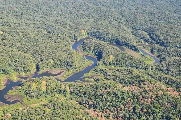 El avance de la minería ilegal y el narcotráfico tienen en riesgo la conservación de la Reserva Comunal El Sira, en la Amazonía de Perú. Foto: Reserva Comunal El Sira.