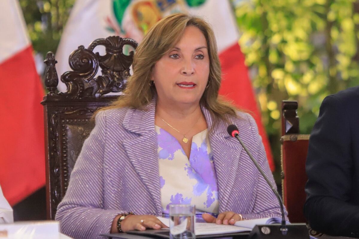 Parece que alguien le dijo a la presidenta que no podía arriesgarse a nuevas marchas con nuevas víctimas a estas alturas del Gobierno, señala Enrique Castillo (Foto: Presidencia del Perú)