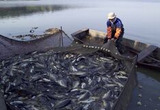 Empleos generados por exportaciones crecieron 4.6% en primer semestre