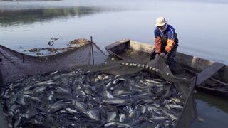 Empleos generados por exportaciones crecieron 4.6% en primer semestre