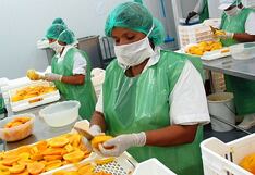 Dominus apunta a captación de mango, mientras mira a la pitahaya para congelados