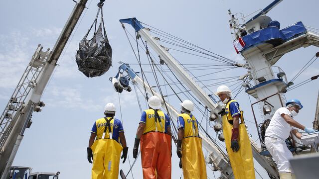 Fenómeno de El Niño impactaría a la pesca hasta el 2024, revela estudio