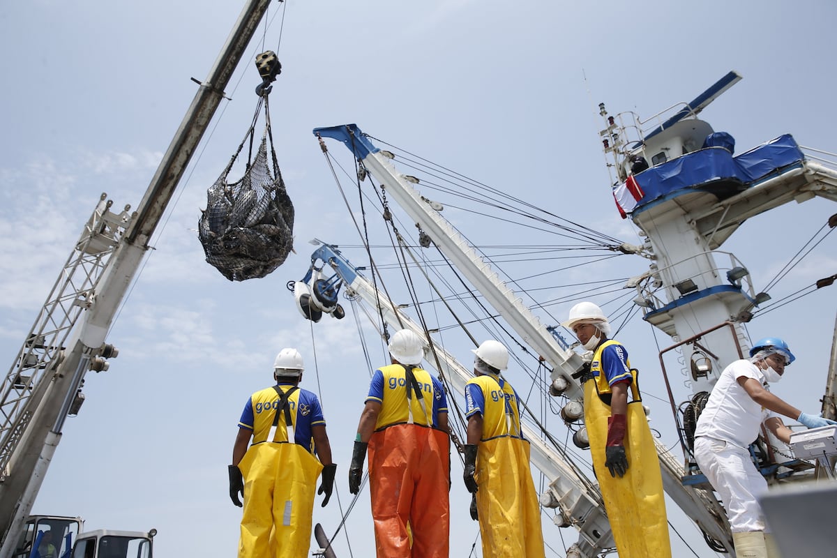 La pesca peruana será golpeada por el Fenómeno El Niño hasta la primera mitad del próximo año, revela el estudio de AMBIAND. (Foto: GEC)