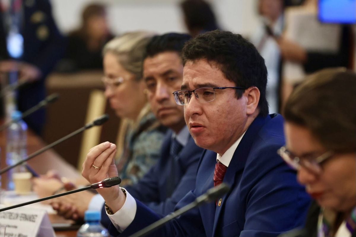 Frank Krklec afirmó que la Comisión de Constitución alcanzó un texto consensuado sobre la delegación de facultades al Ejecutivo. Foto: Congreso.
