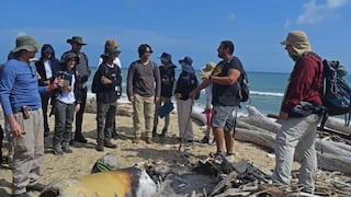 Rocas de plástico formadas por contaminación alteran la costa del Caribe colombiano
