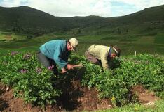 Flexibilizan exigencias ambientales para proyectos agrícolas de menos de 50 hectáreas