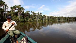 COP26: Castillo expresa compromiso en conservación y uso sostenible de la Amazonía