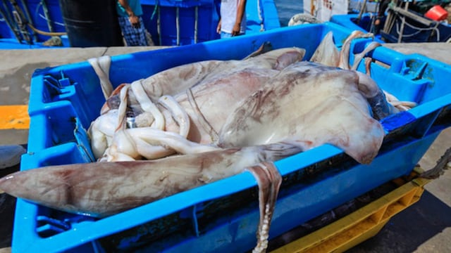 Multa a embarcación china por pesca ilegal genera debate sobre equidad en sanciones