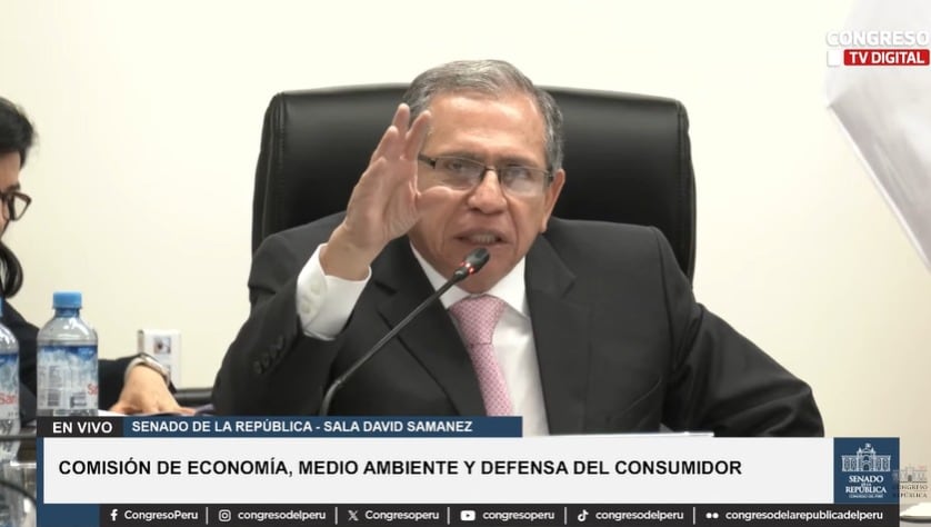 César Luna Victoria en la Comisión de Economía, Medio Ambiente y Defensa del Consumidor. | Captura: YouTube