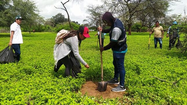Con cinco votos a favor, tres en contra y una abstensión, se aprobó por mayoría. (Foto: Serfor)