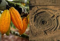 Cacao y el hallazgo que revelaría su origen en el Perú