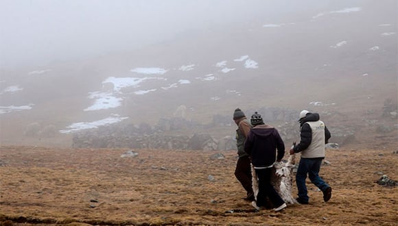 Además, se esperan ráfagas de viento con velocidades próximas a los 35 kilómetros por hora, escasa nubosidad e incremento de la temperatura diurna. (Foto: Andina)