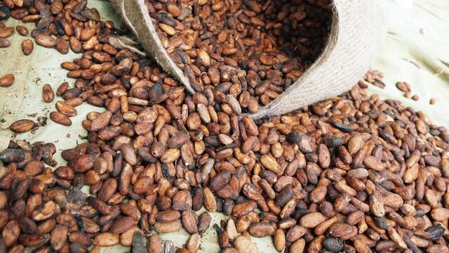 Mayores países en cacao podrían frenar control de sostenibilidad