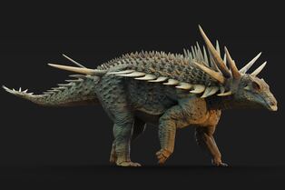 Hallazgo en Marruecos: dinosaurio acorazado revoluciona la historia