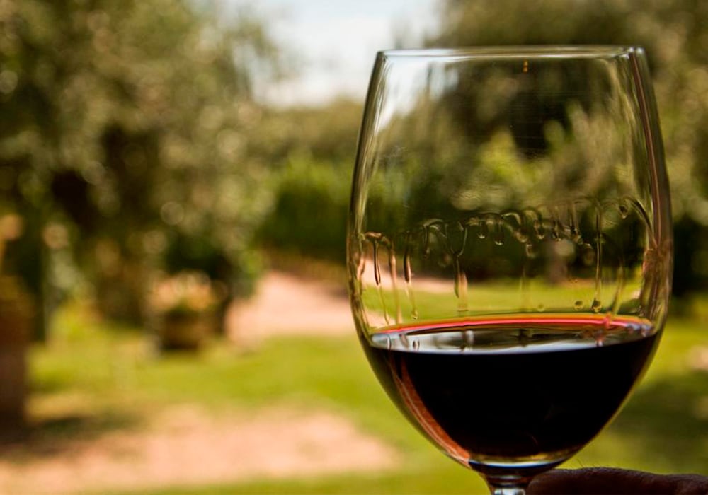 "Para combatir el impacto del sobrecalentamiento, las bodegas están reescribiendo los manuales de la viticultura."