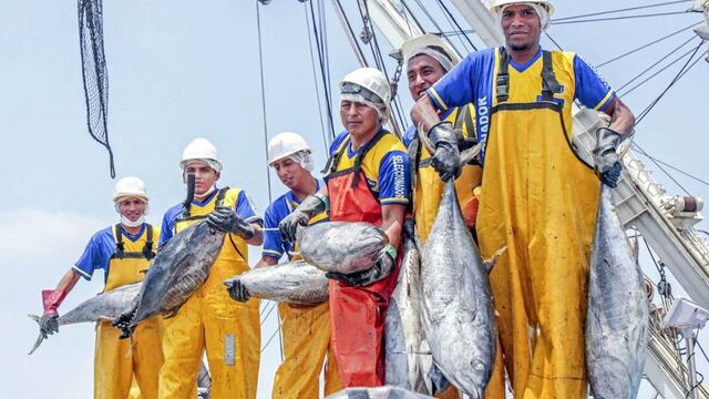 ¿Se debe establecer la recuperación de impuestos en la exportación de atún?