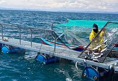 Perú creció 2.68% en febrero, ¿qué se avizora para marzo?