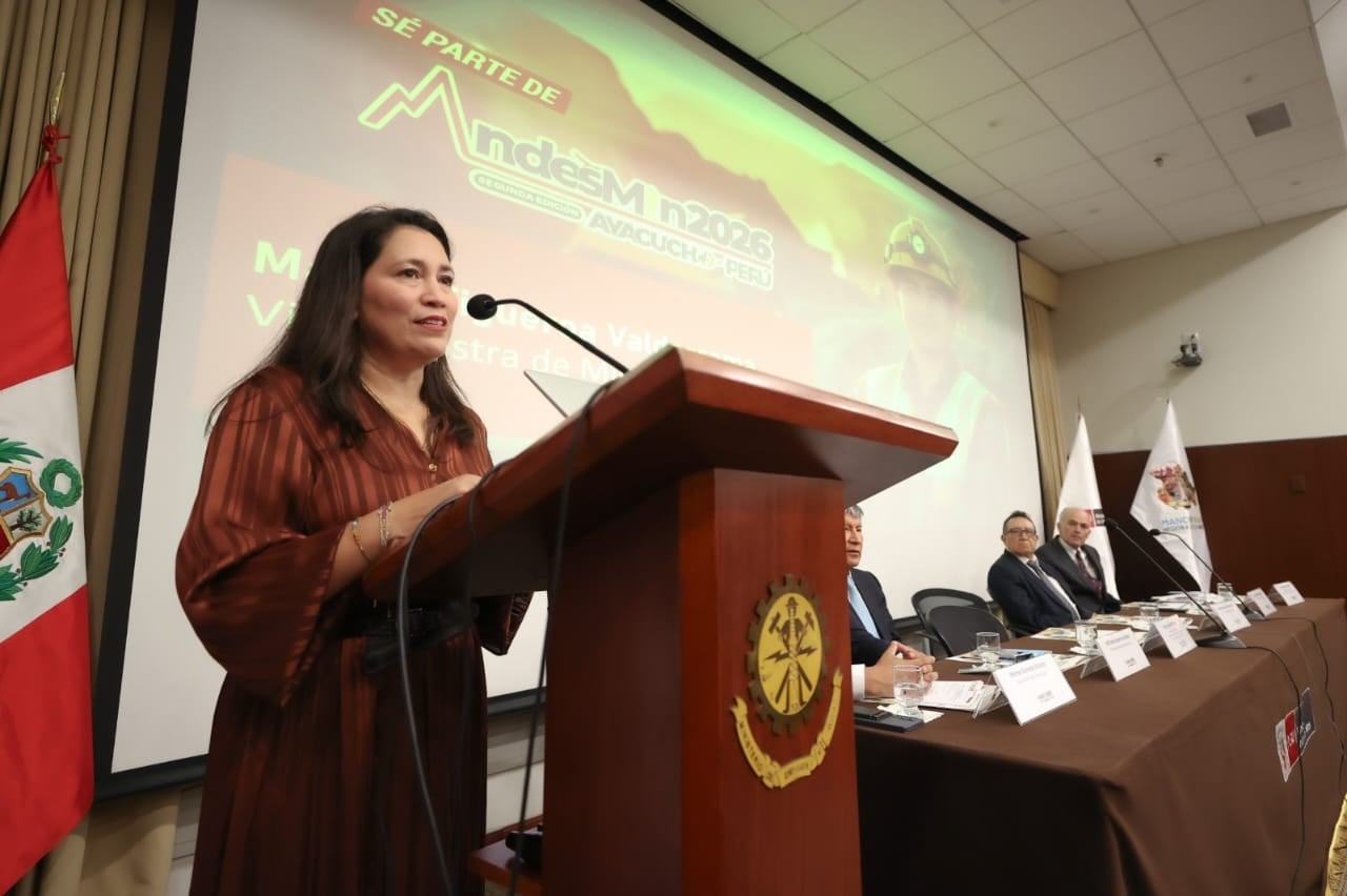 La viceministra indicó que el Minem atraviesa una reorganización para optimizar sus procesos internos sin dejar de lado los estándares ambientales.