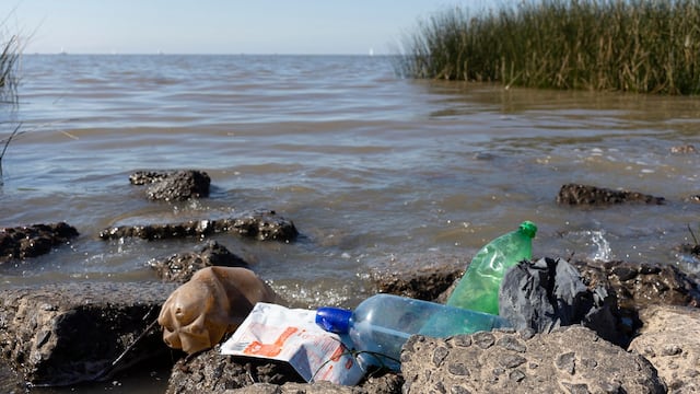 Los residuos plásticos, un agente para la propagación de especies invasoras en el Caribe